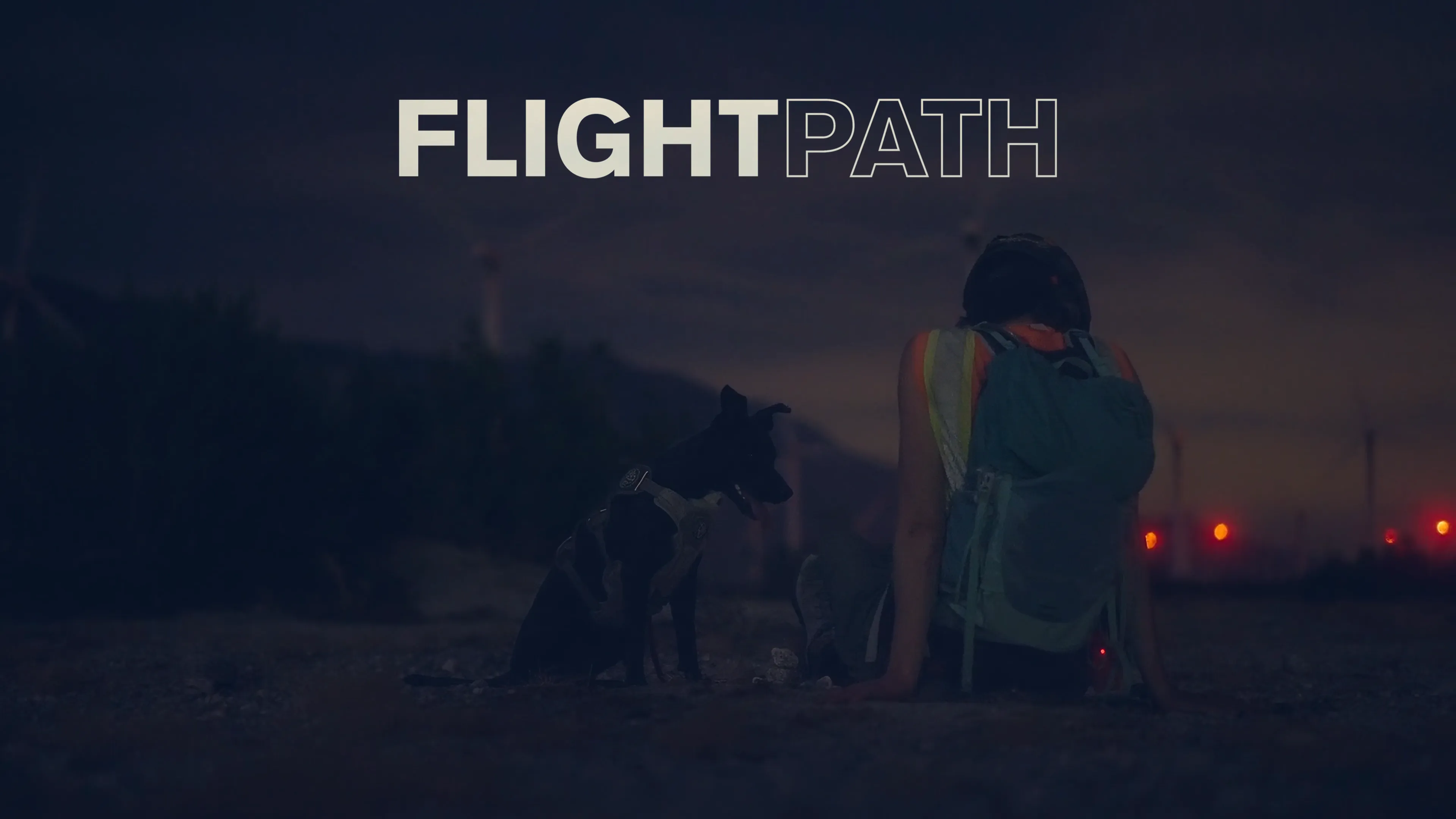 Flightpath poster